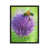 Bee on Flower – Macro Nature Photography Canvas Print