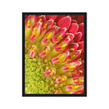Chrysanthemum Symphony – Macro Flower Photography Canvas