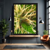  Luminous Cannabis Flower – macro photography canvas print of a cannabis flower in close detail – Art Fusion Store