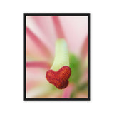 Nature's Heart – Macro Flower Photography Canvas Print