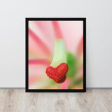 Framed photograph of a flower with a heart-shaped petal on a light background.