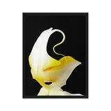 Orchid Shaman – Macro Floral Photography Canvas Print
