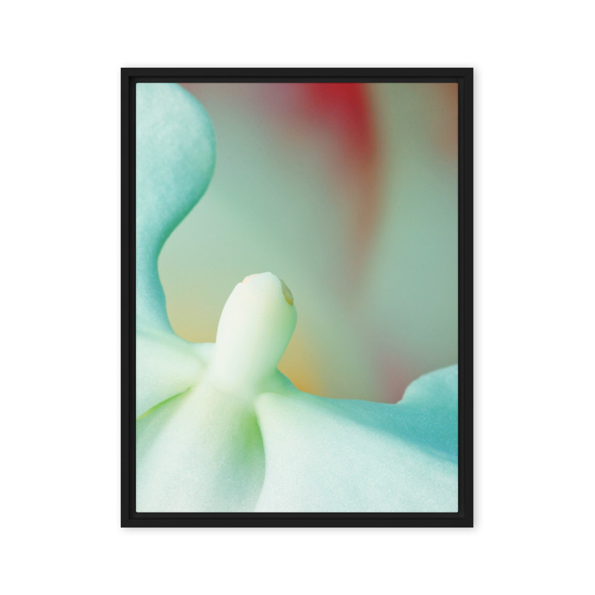 Orchid in Flight – Macro Photography Canvas Print