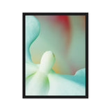 Orchid in Flight – Macro Photography Canvas Print