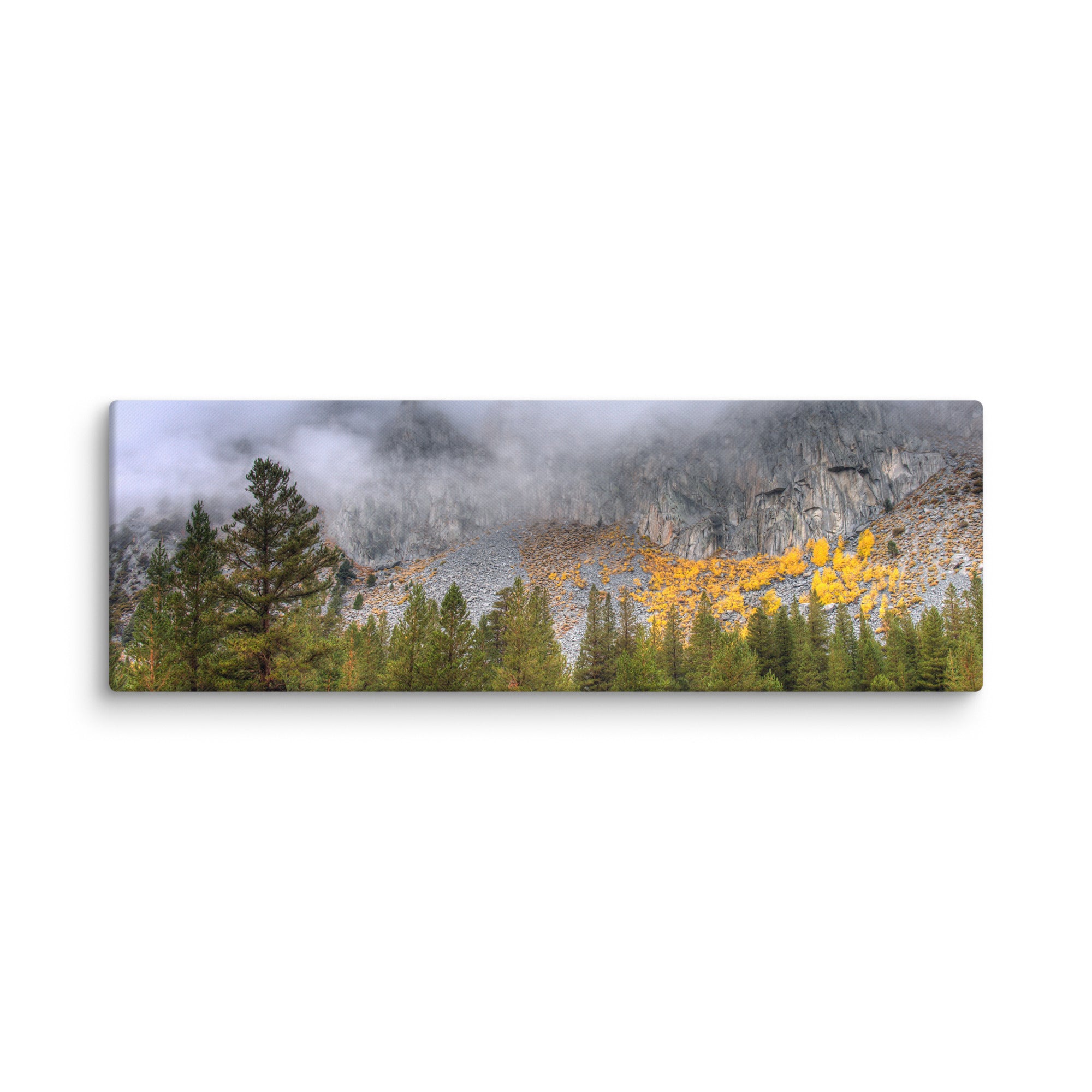 Panoramic Product mockup