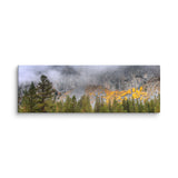 Panoramic Product mockup