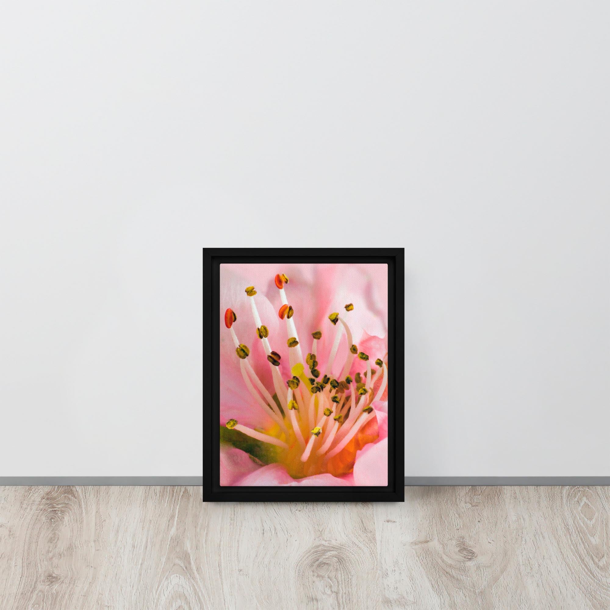 Framed photograph of a pink flower on a white wall.