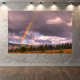 Double rainbow over a forest with cloudy sky, displayed on a wall.