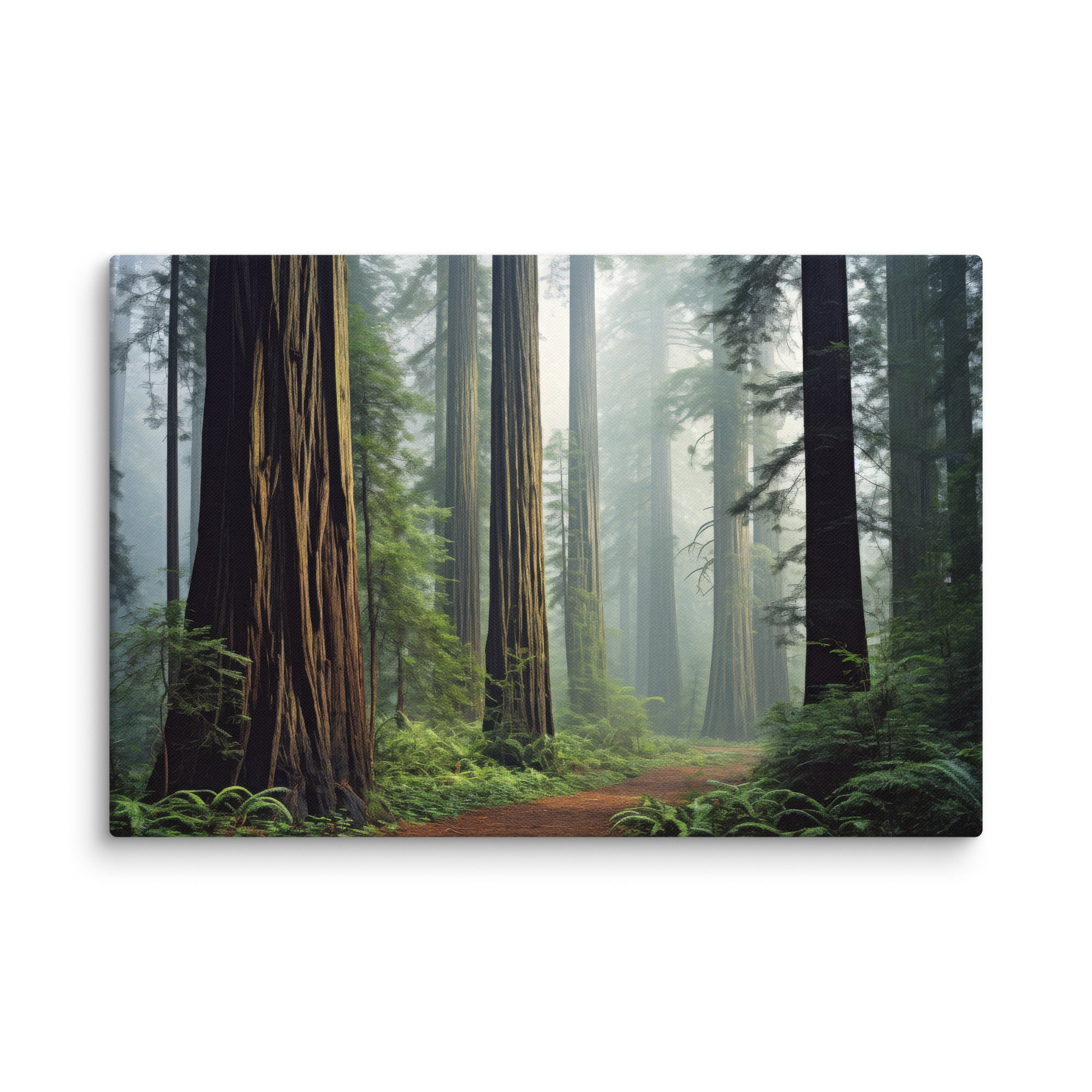 Redwood Forest Path – California Nature Photography Canvas