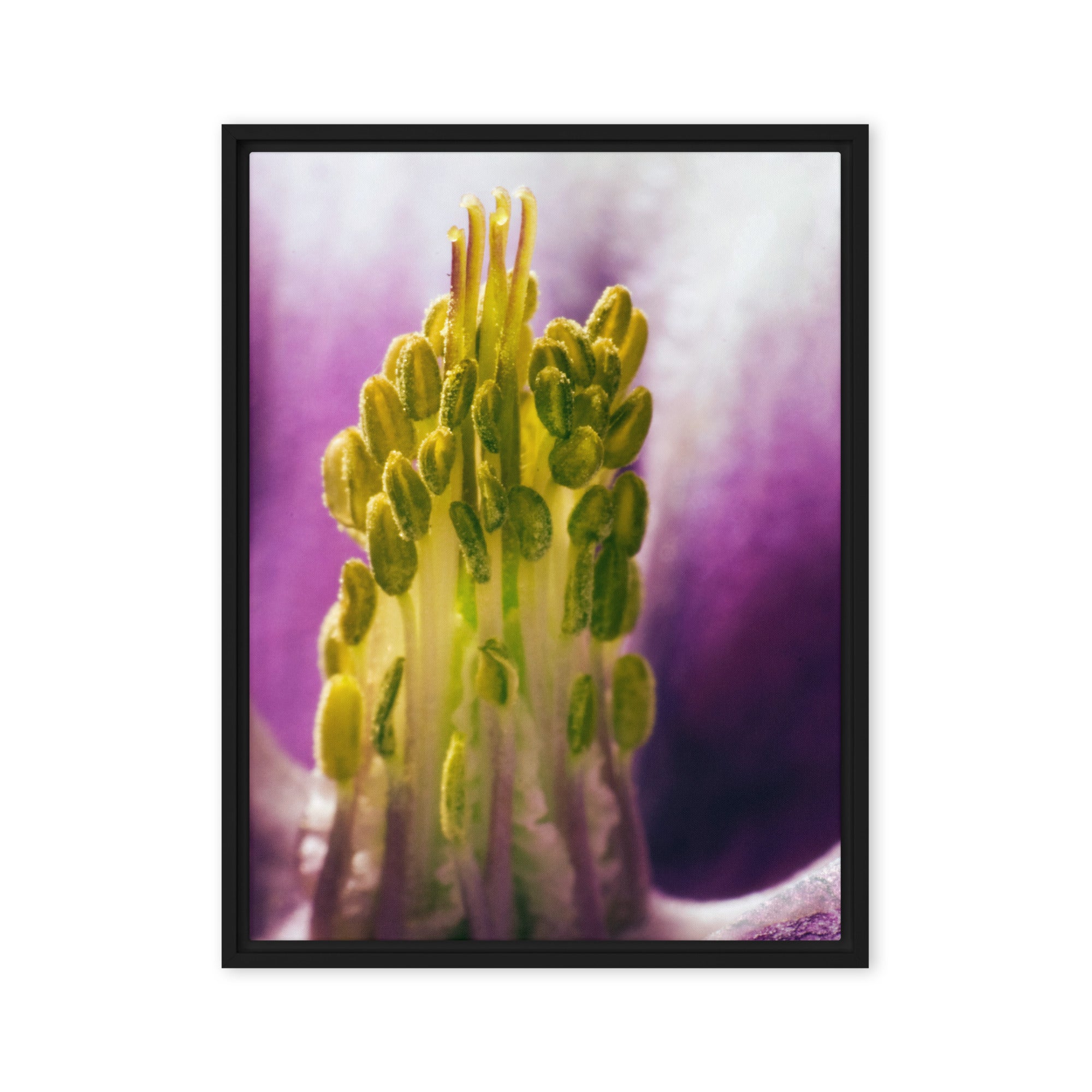 Scent of Light – Floral Macro Photography Canvas Print