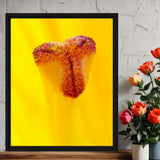 Sunlit Flower – macro nature photography canvas print of a backlit flower showing petal translucency – Art Fusion Store