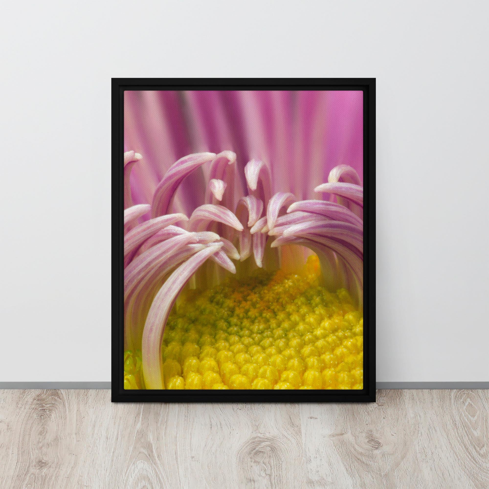 Framed photograph of a pink flower on a white wall.