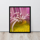 Framed photograph of a pink flower on a white wall.