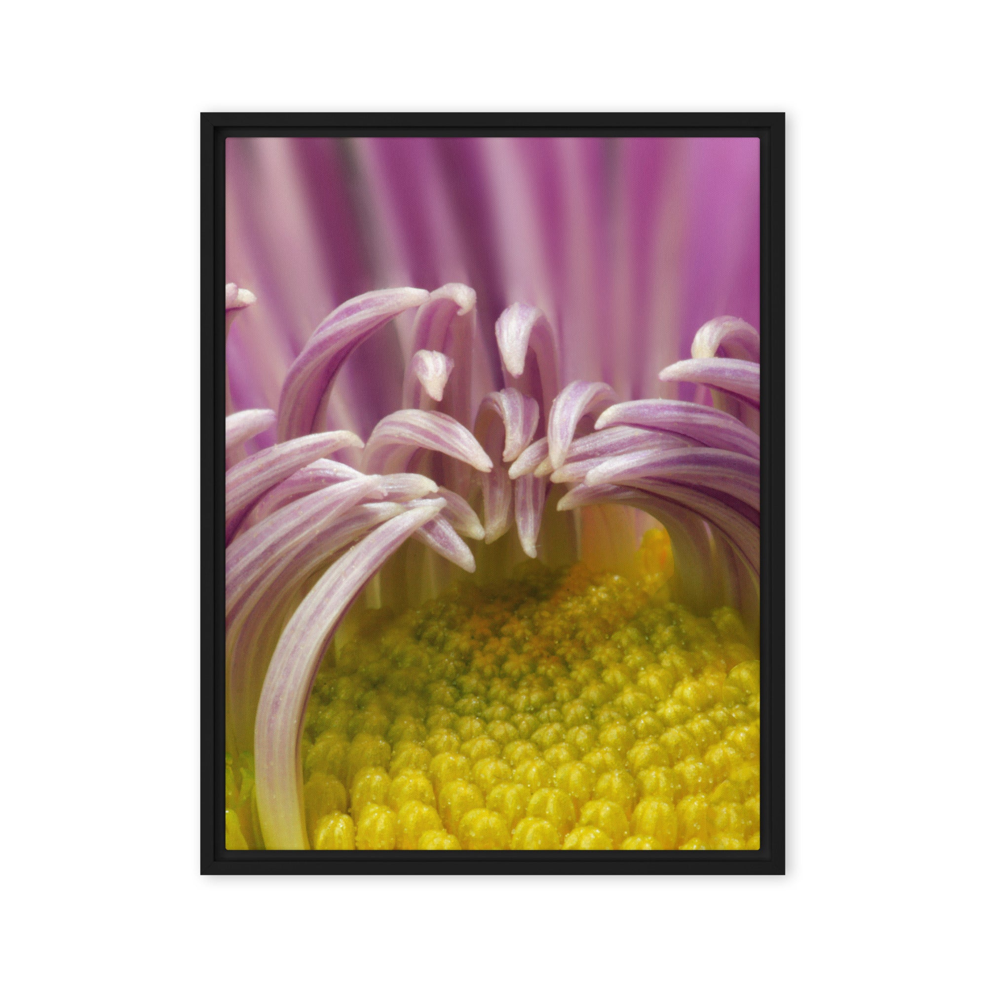 Wildflower Close-Up – Macro Nature Photography Canvas