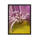 Wildflower Close-Up – Macro Nature Photography Canvas