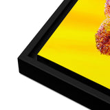 Sunlit Flower - Joyful Radiance on Framed canvas